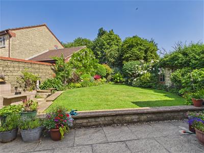 Picture 20
